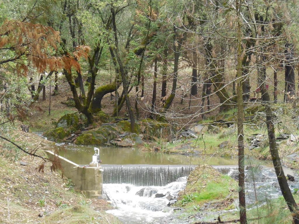 Yosemite Paradise Inn Колтервилл Экстерьер фото
