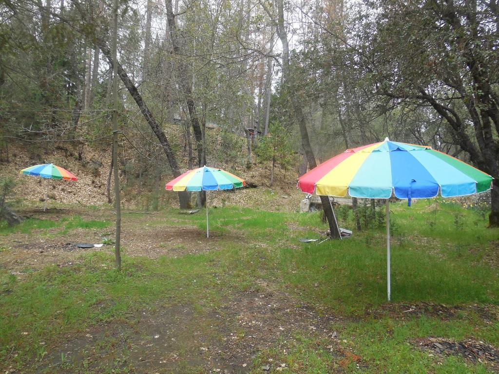 Yosemite Paradise Inn Колтервилл Экстерьер фото