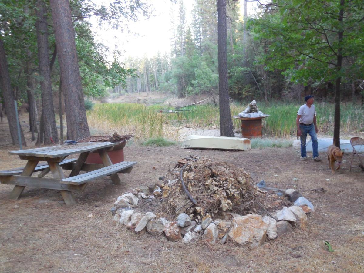 Yosemite Paradise Inn Колтервилл Экстерьер фото