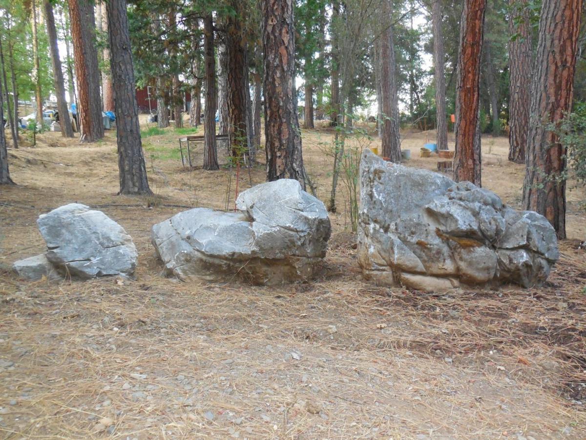 Yosemite Paradise Inn Колтервилл Экстерьер фото